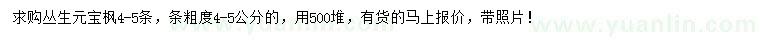 求購叢生元寶楓