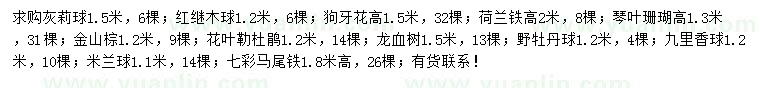求購灰莉球、紅繼木球、狗牙花等