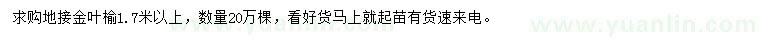 求購1.7米以上地接金葉榆