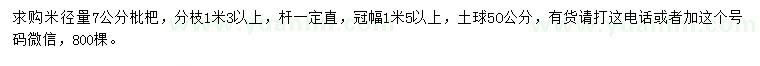 求購(gòu)米徑7公分枇杷