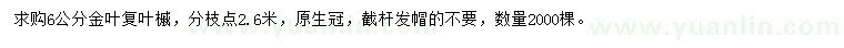 求購(gòu)6公分金葉復(fù)葉槭