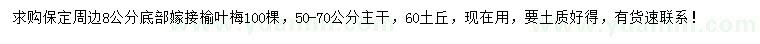 求購(gòu)8公分榆葉梅