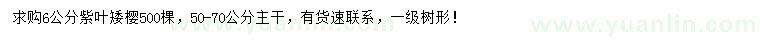 求購6公分紫葉矮櫻