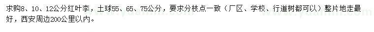 求購8、10、12公分紅葉李