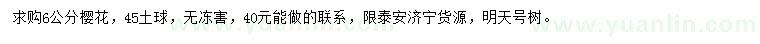 求購6公分櫻花