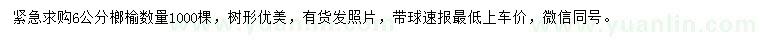 求購(gòu)6公分榔榆