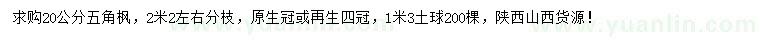 求購20公分五角楓