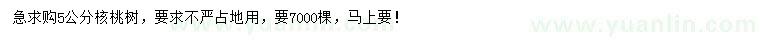 求購5公分核桃樹