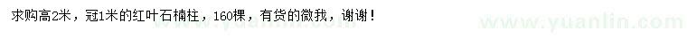 求購高度2米紅葉石楠柱