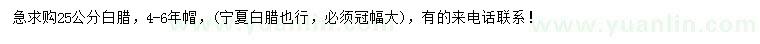 求購25公分白臘
