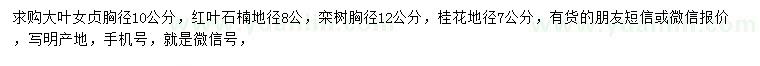 求購大葉女貞、紅葉石楠、欒樹等