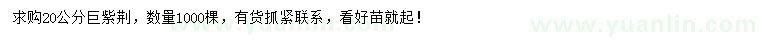 求購20公分巨紫荊