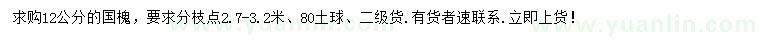 求購12公分國槐