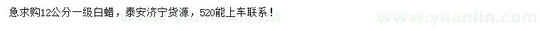 求購12公分白蠟