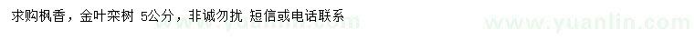 求購(gòu)5公分楓香、金葉欒樹(shù)