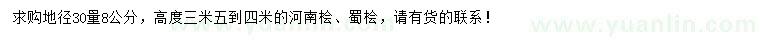 求購高度3.5-4米河南檜、蜀檜