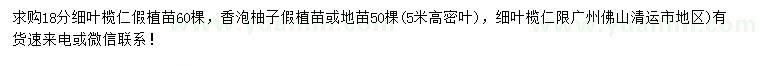 求購18公分細(xì)葉欖仁、高度5米香泡柚子