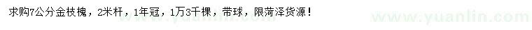 求購(gòu)7公分金枝槐
