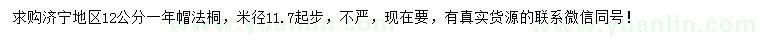 求購12公分法桐