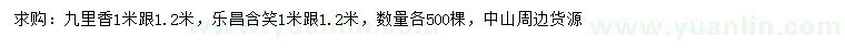 求購(gòu)1、1.2米九里香、樂昌含笑