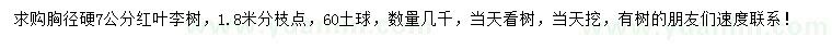 求購胸徑7公分紅葉李