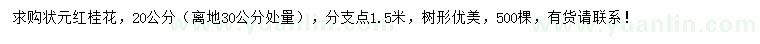 求購30量20公分狀元紅桂花