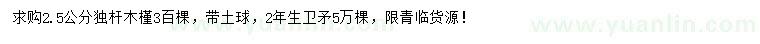 求購2.5公分獨桿木槿、2年生衛(wèi)矛