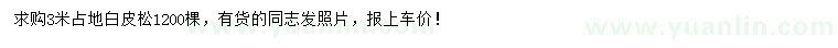 求購(gòu)3米白皮松