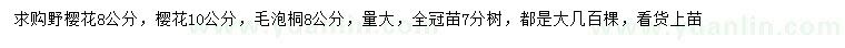 求購野櫻花、櫻花、毛泡桐