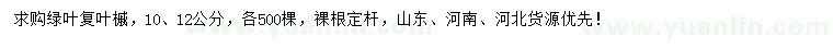 求購10、12公分綠葉復葉槭