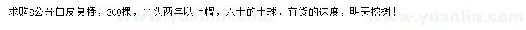 求購8公分白皮臭椿