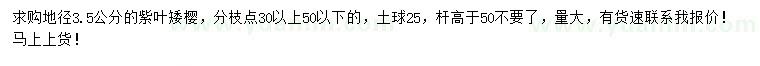 求購地徑3.5公分紫葉矮櫻