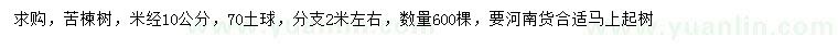 求購米徑10公分苦楝樹