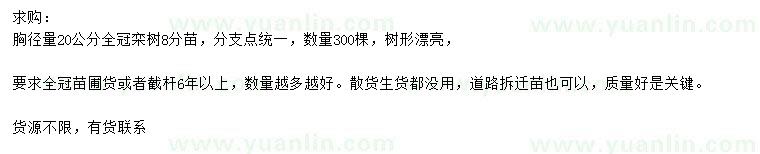 求購(gòu)胸徑20公分欒樹(shù)