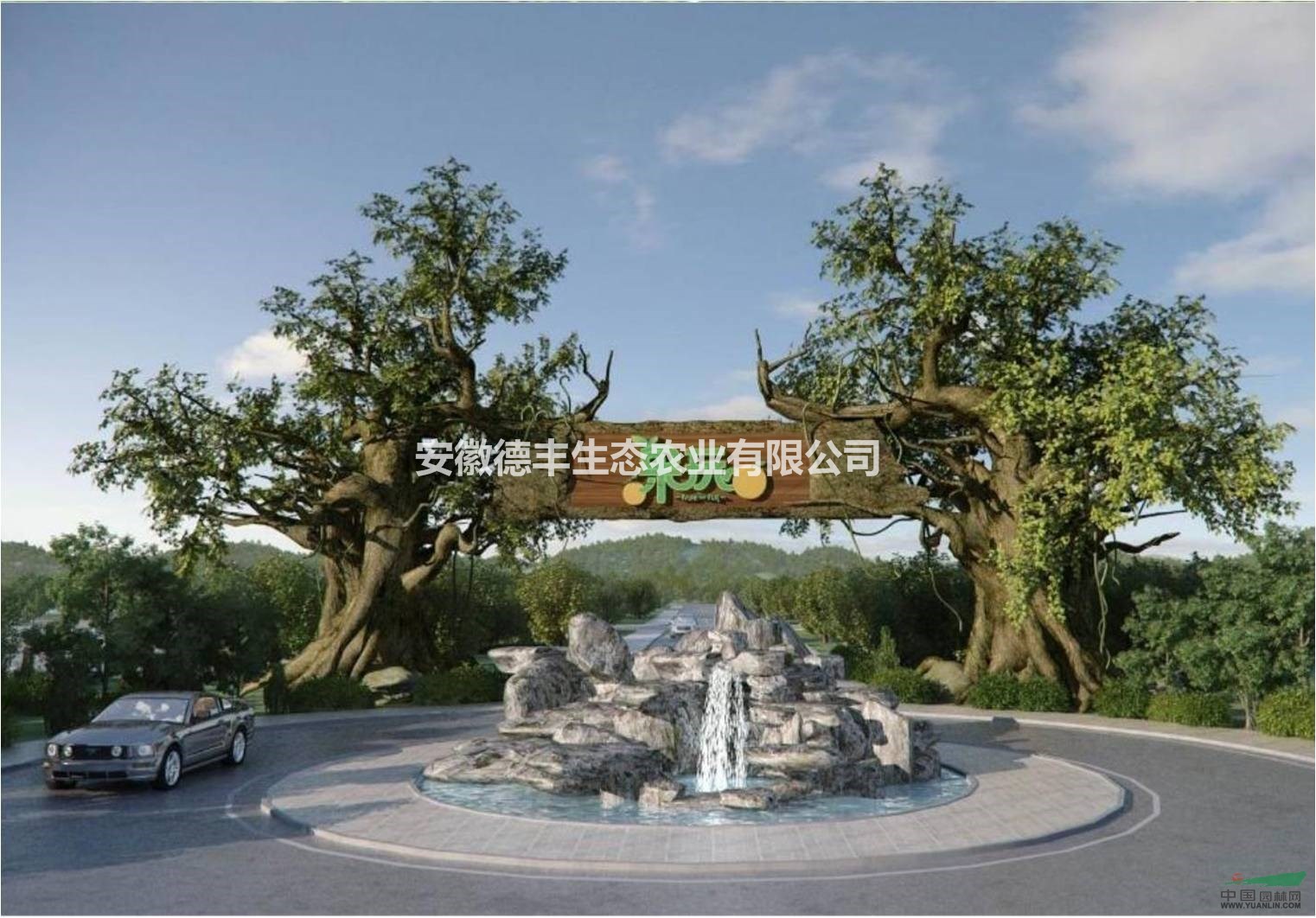 蘋果苗、各種果苗！5100畝基地直接供應(yīng)！