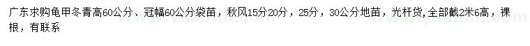 求購(gòu)高60公分龜甲冬青、15、20、25、30公分秋楓