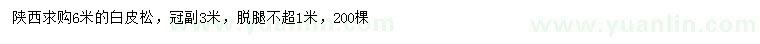 求購6米白皮松