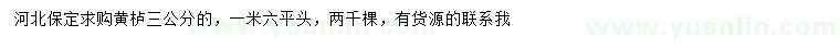 求購3公分黃櫨