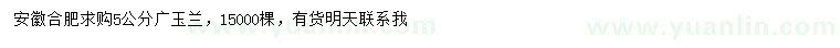 求購5公分廣玉蘭