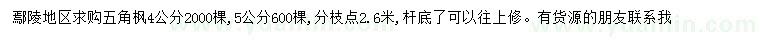 求購4、5公分五角楓