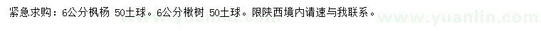 求購6公分楓楊、楸樹
