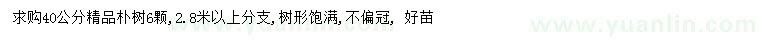 求購(gòu)40公分精品樸樹