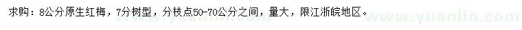 求購8公分原梅