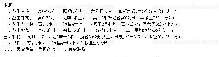 求購烏桕、樸樹、五角楓等