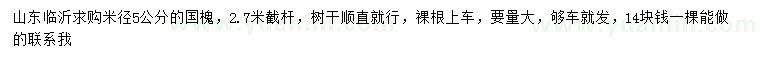 求購米徑5公分國槐