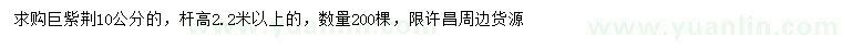 求購10公分巨紫荊