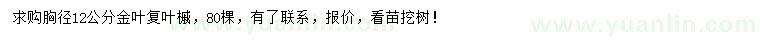 求購12公分金葉復(fù)葉槭