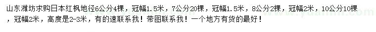 求購地徑6、8、10公分日本紅楓