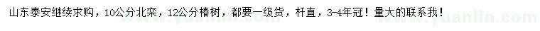 求購10公分北欒、12公分椿樹