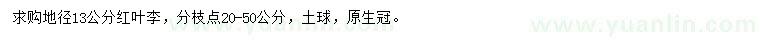 求購地徑13公分紅葉李